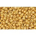 Acheter ccpf557f perles de rocaille Toho 11/0 matt galvanized starlight (10g)