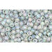 Acheter cc176af perles de rocaille Toho 11/0 transparent rainbow frosted black diamond (10g)