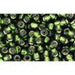 Creez avec cc37 perles de rocaille Toho 8/0 silver-lined olivine (10g)